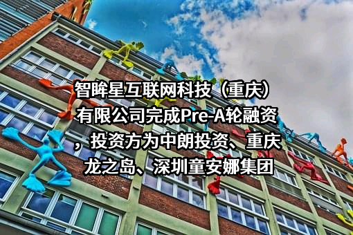智眸星互联网科技（重庆）有限公司