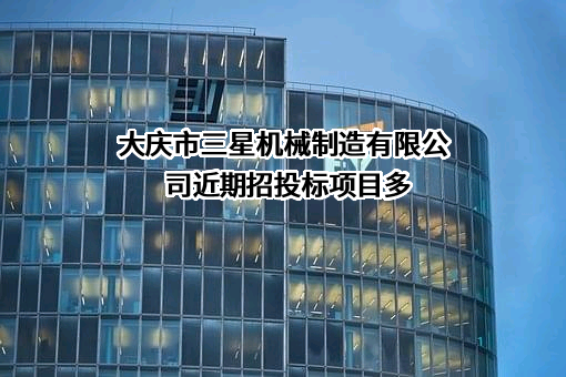 大庆市三星机械制造有限公司