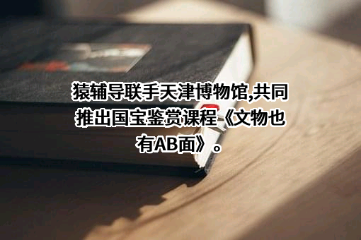 北京猿力未来科技有限公司