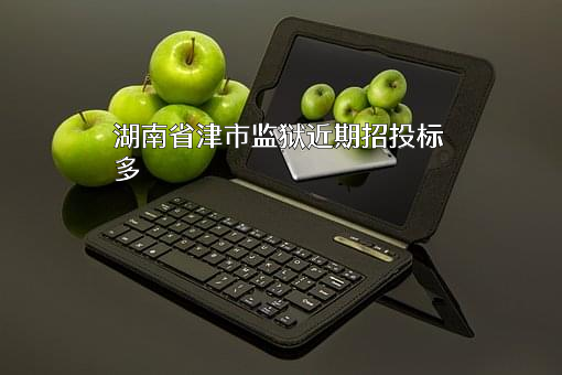 湖南省津市监狱近期招投标项目多
