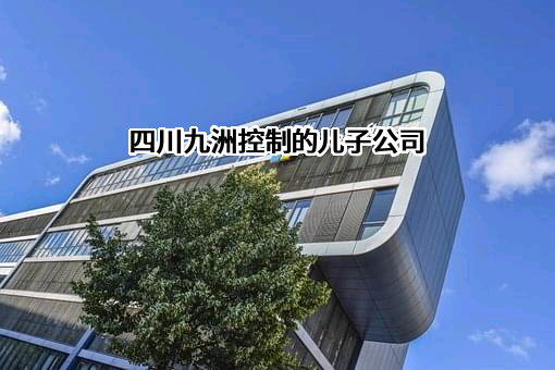 成都九洲迪飞科技有限责任公司