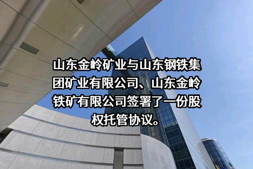 山东钢铁集团矿业有限公司
