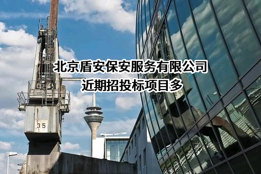 北京盾安保安服务有限公司
