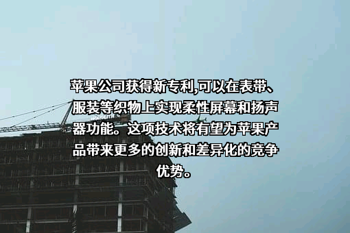 苹果电子产品商贸（北京）有限公司