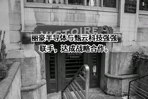 青海丽豪半导体材料有限公司