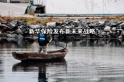 新华人寿保险股份有限公司
