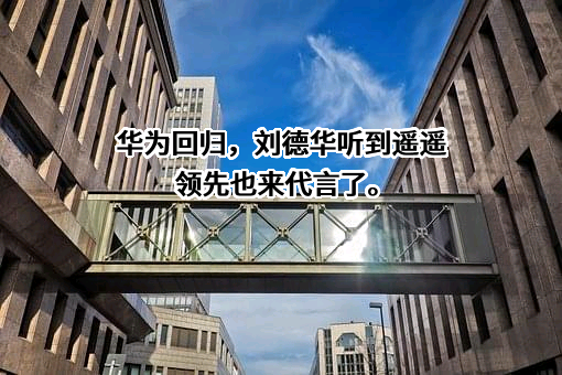华为技术有限公司