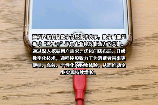 长沙通程控股股份有限公司