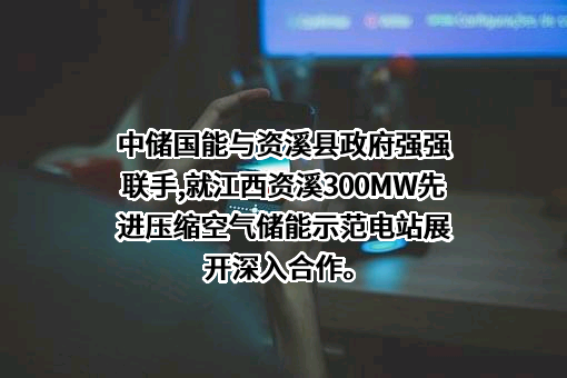 中储国能（北京）技术有限公司