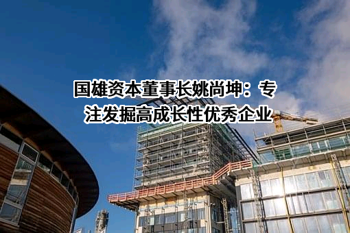 国雄资本有限公司