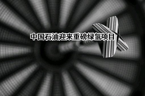 中国石油天然气股份有限公司