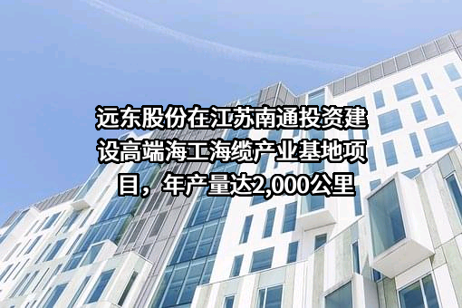远东智慧能源股份有限公司