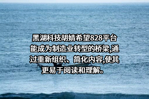 上海黑湖网络科技有限公司