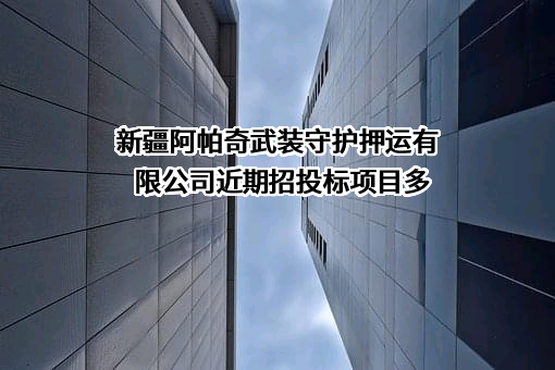 新疆阿帕奇武装守护押运有限公司