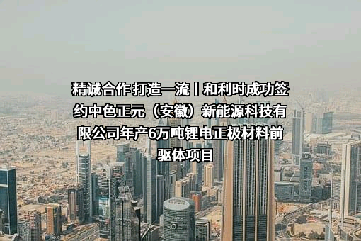 杭州和利时自动化有限公司