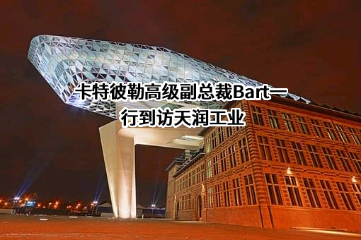 卡特彼勒（中国）投资有限公司