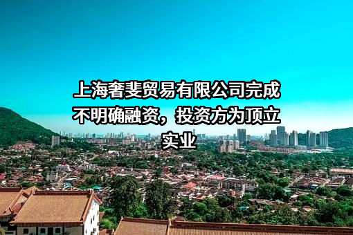 上海奢斐贸易有限公司