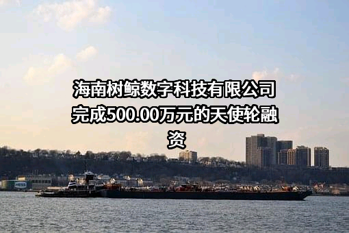 海南树鲸数字科技有限公司完成500.00万元的天使轮融资