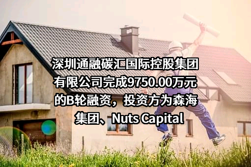 深圳通融碳汇国际控股集团有限公司