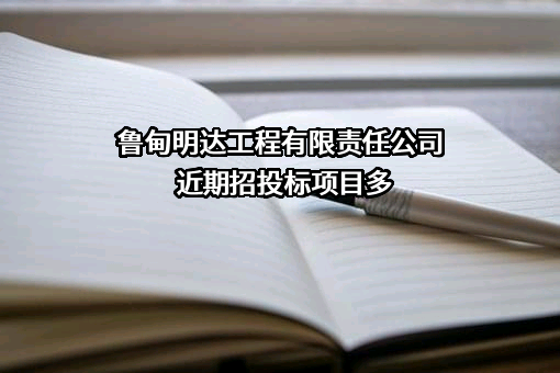 鲁甸明达工程有限责任公司