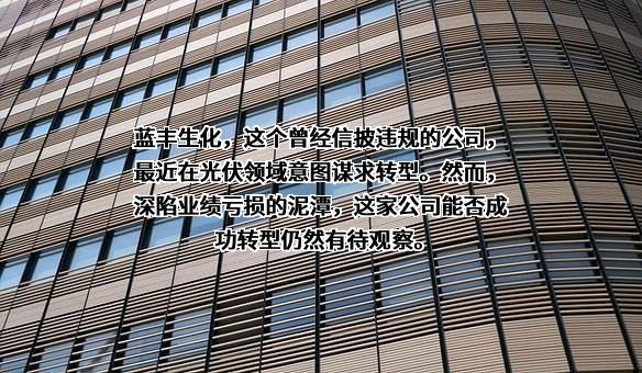 江苏蓝丰生物化工股份有限公司