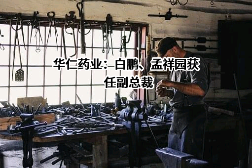 华仁药业股份有限公司