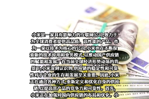 小米科技有限责任公司