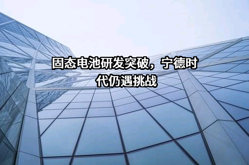 宁德时代新能源科技股份有限公司