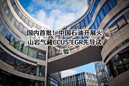 中国石油天然气股份有限公司