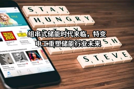 特变电工股份有限公司