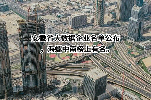 安徽海螺中南智能机器人有限责任公司