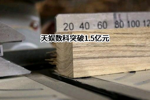 天娱数字科技（大连）集团股份有限公司