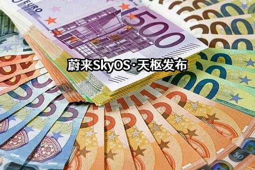 上海蔚来汽车有限公司