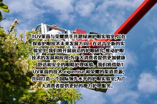 荣耀终端有限公司