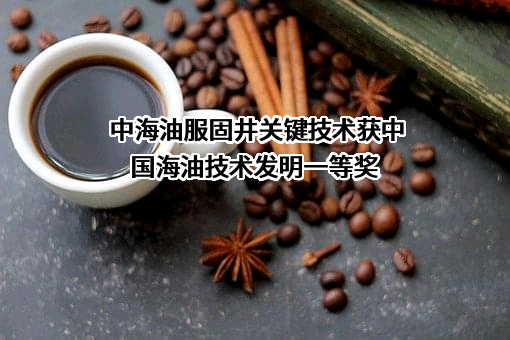 中海油田服务股份有限公司