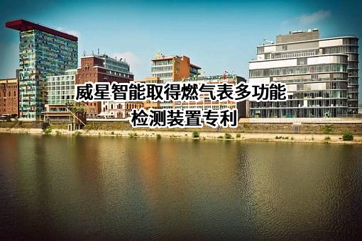 浙江威星智能仪表股份有限公司