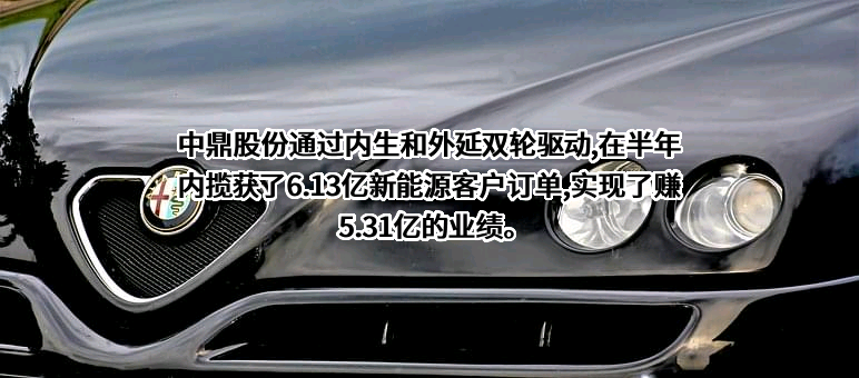 安徽中鼎密封件股份有限公司