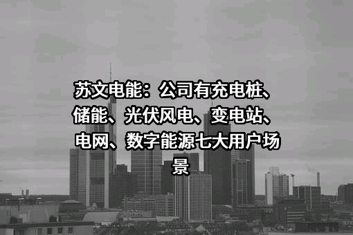 苏文电能科技股份有限公司