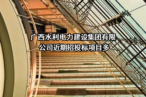 广西水利电力建设集团有限公司