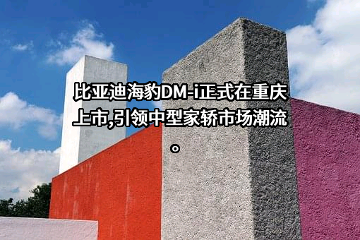 比亚迪股份有限公司