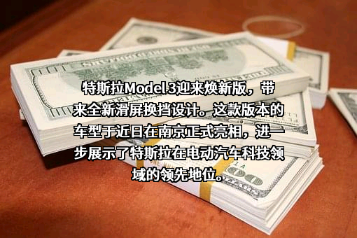 特斯拉（上海）有限公司