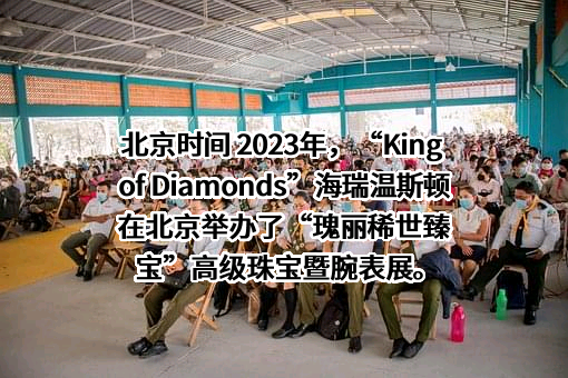海瑞温斯顿商业（中国）有限公司