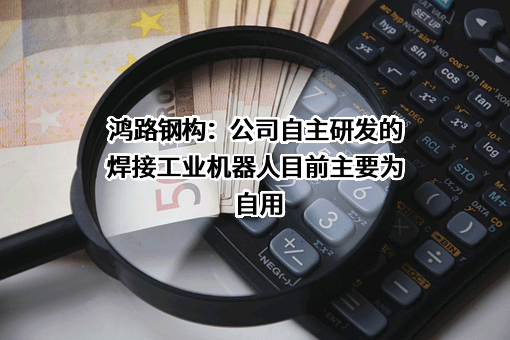 安徽鸿路钢结构(集团)股份有限公司