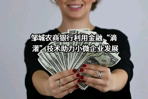 山东邹城农村商业银行股份有限公司
