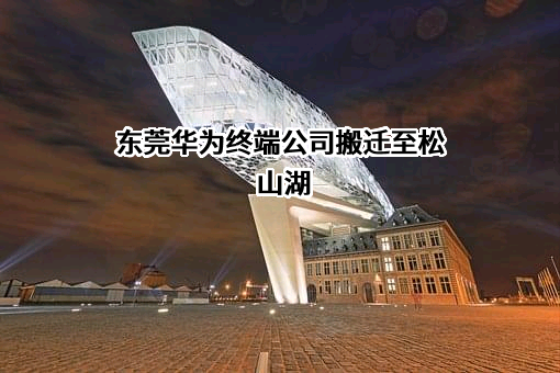 华为技术有限公司