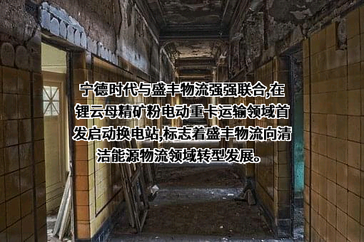 宁德时代新能源科技股份有限公司
