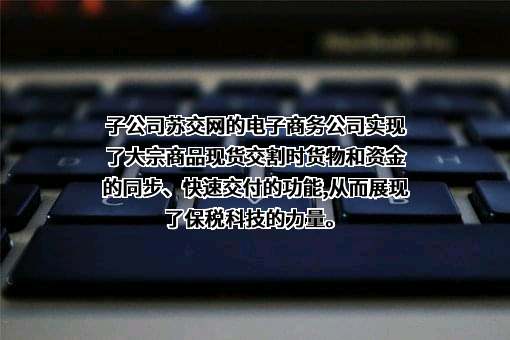 张家港保税科技（集团）股份有限公司