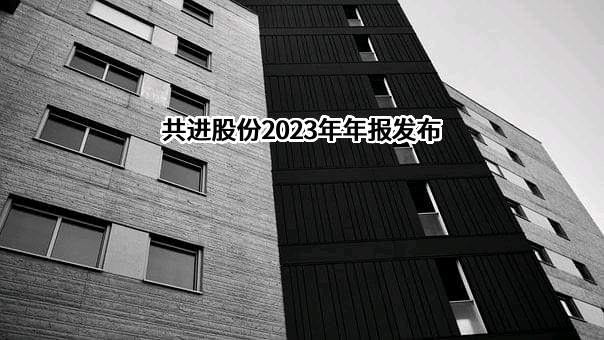 深圳市共进电子股份有限公司