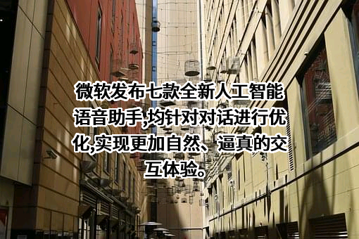 微软（中国）有限公司