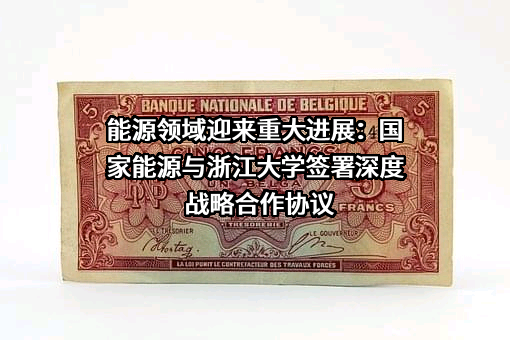 国家能源投资集团有限责任公司